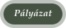 Plyzat