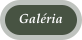 Galria