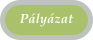 Plyzat